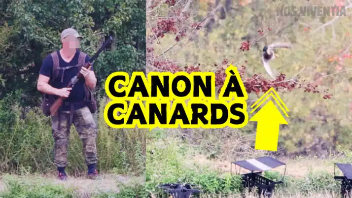 Club canin qui massacre des canards