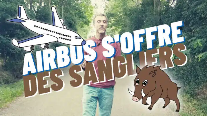 Airbus chasse aux sangliers en enclos