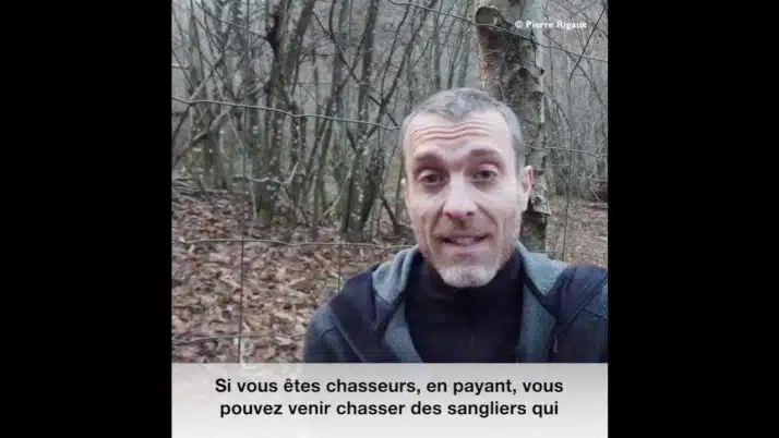 Parc de chasse de sangliers