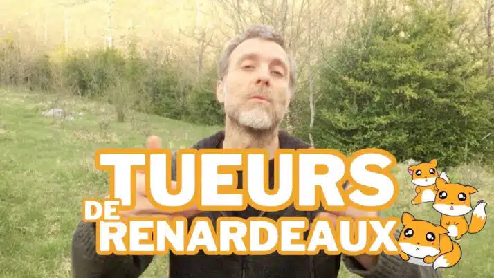 Piégeage de renards